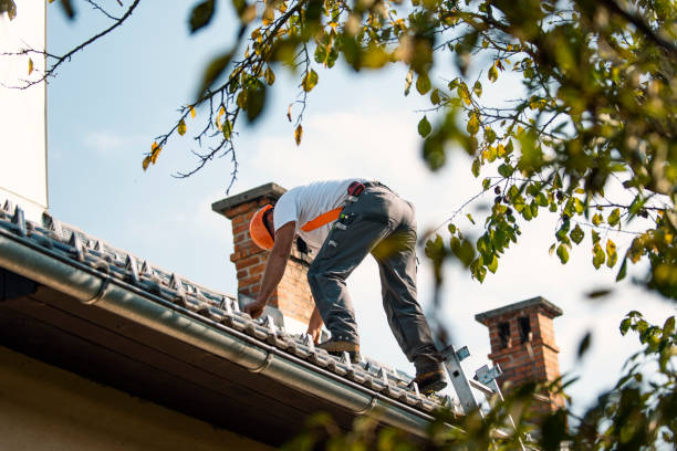 Best Roof Maintenance Services  in Macom, IL