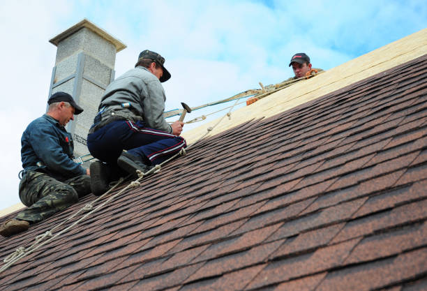 Best Metal Roofing Contractor  in Macom, IL